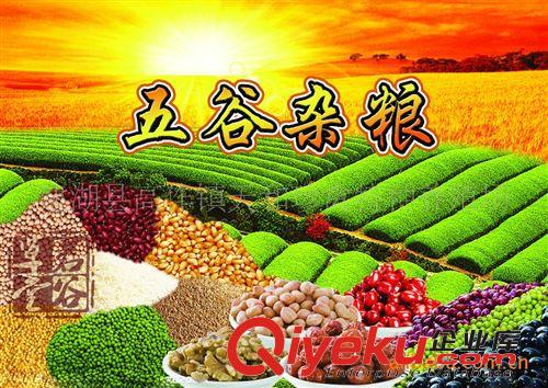 有機(jī)五谷雜糧組合黑米黑豆黑芝麻 東北養(yǎng)生粥 粗糧 雜糧