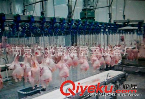 供MS系列自動輸送機/雙工作臺面肉類分割輸送帶/畜禽整套屠宰設備原始圖片3