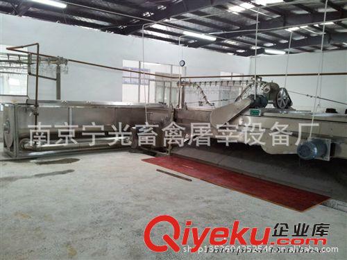 廠家直銷WP-2000型臥式平板脫毛機(jī)/家禽自動(dòng)脫羽機(jī),屠宰機(jī)械設(shè)備原始圖片2