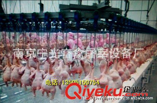 優質ZDX系列家禽屠宰設備，家禽屠宰生產線，家禽zdzs流水線