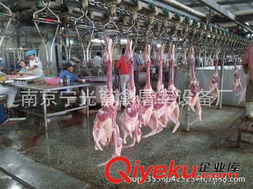 優質家禽屠宰設備,WDZJ臥式連續打爪機/整套肉雞屠宰設備/剝爪機