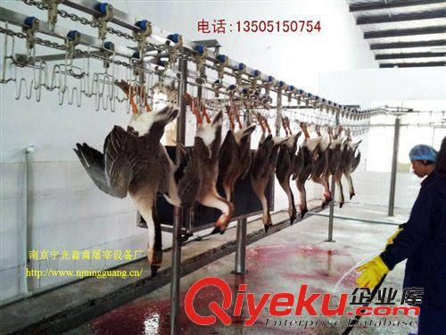 優質TZX系列肉鴨zdzs生產線,肉鴨屠宰設備,家禽屠宰機械設備原始圖片2