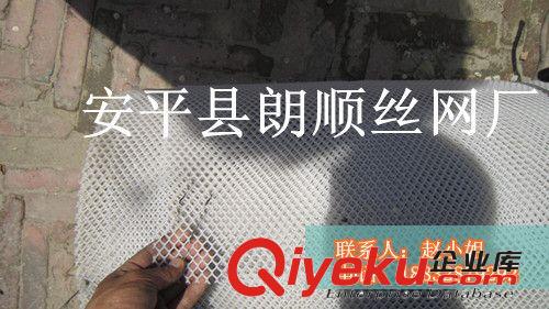 供應(yīng)塑料方眼網(wǎng) pp塑料網(wǎng) 透明塑料網(wǎng) 塑料濾芯網(wǎng) 小孔塑料網(wǎng)
