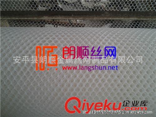 供應白色塑料平網 綠色塑料平網 塑料養殖網 塑料平網廠家原始圖片2