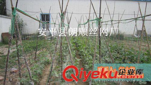 全新料塑料平網 純料hdpe塑料平網 白色塑料網 大小孔塑料平網