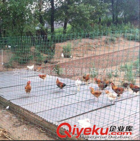 供應山雞養殖圍網 防護鐵絲網 綠色鐵絲網 綠色防護網 圍欄網