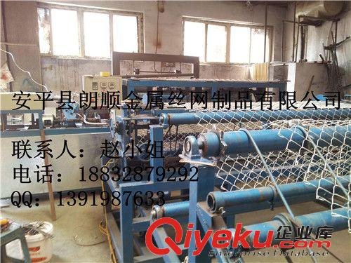 廠家定做全自動菱形網機，編織勾花網機，包樹頭鐵絲網生產設備原始圖片2