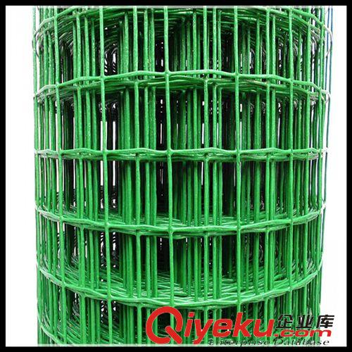 供應(yīng)250-350絲卷網(wǎng)原始圖片2