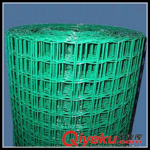 供應(yīng)250-350絲卷網(wǎng)原始圖片3