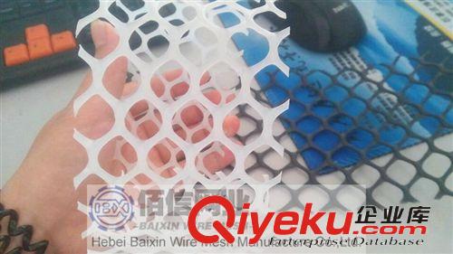 白色養殖網 全新料塑料平網 優質塑料平網 17mm孔徑/黑色塑料平網原始圖片3