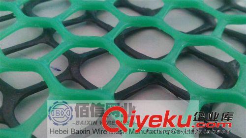 可用作床墊用塑料網(wǎng)，沙發(fā)墊用塑料網(wǎng)/發(fā)室內養(yǎng)雞專用塑料網(wǎng)原始圖片2