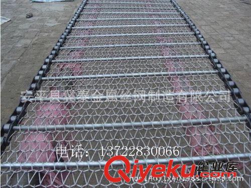 生產(chǎn)銷售不銹鋼網(wǎng)帶 網(wǎng)鏈 加工定做 食品 耐酸堿 腐蝕 齒輪原始圖片3