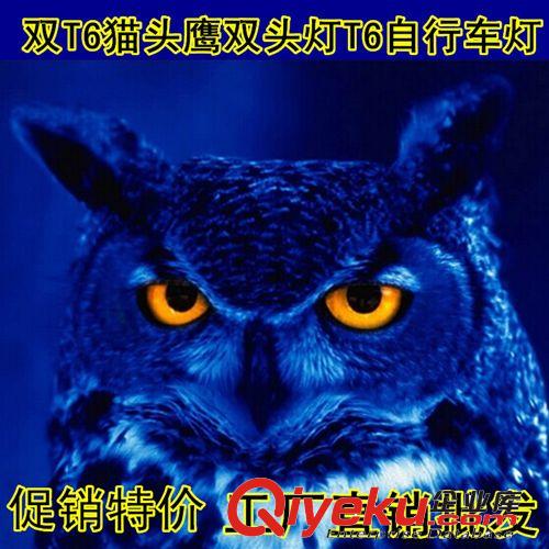 廠家自行車激光尾燈T3 自行車燈尾燈安全警示燈山地車騎行裝備