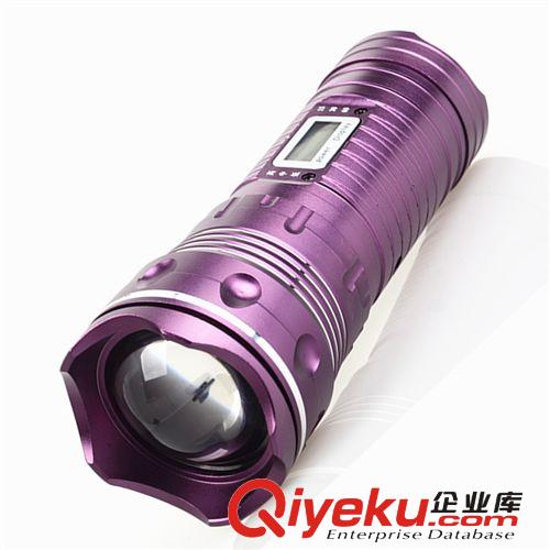 新款10w 三檔光源 藍(lán)光白光 多功能釣魚燈 充電夜釣燈全國包郵