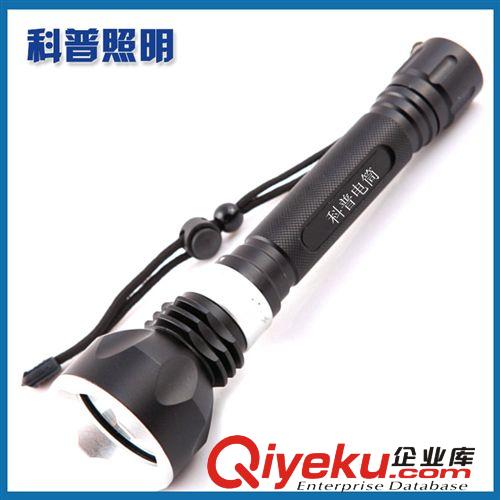 供應(yīng)T6頭燈 專業(yè)潛水頭燈 18650 強(qiáng)光 充電 10W LED釣魚頭燈 防水