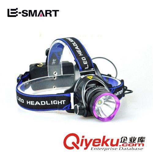 鋁光杯T6頭燈 CREE LED L2紫色頭燈強(qiáng)光充電10W 戶外狩獵遠(yuǎn)射礦