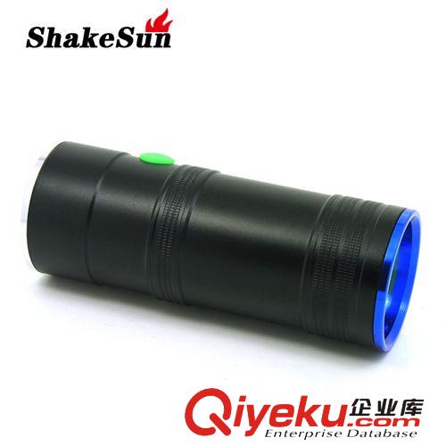 廠家直銷  大功率藍(lán)光白光雙光源夜釣燈 鋁合金10w強(qiáng)光LED釣魚燈原始圖片2