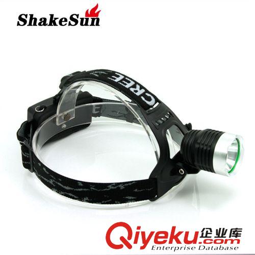 廠家直銷 10W LED強光頭燈 釣魚燈 多功能礦燈/探洞燈原始圖片2