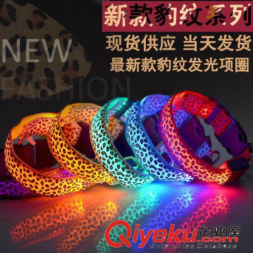 LED發光項圈 比熊泰迪狗狗可愛夜光 寵物項圈 小型犬寵物牽引狗圈