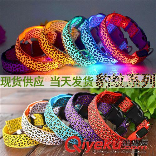 廠家直銷 現貨商狗項圈 胖胖熊圖案 寵物狗脖套 發光LED項圈批發