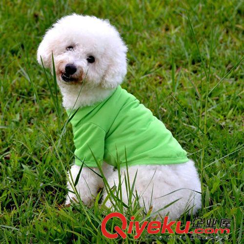 狗狗衣服春夏裝 寵物POLO襯衫 寵物襯衣 泰迪寵物犬衣服 現(xiàn)貨供應(yīng)原始圖片2