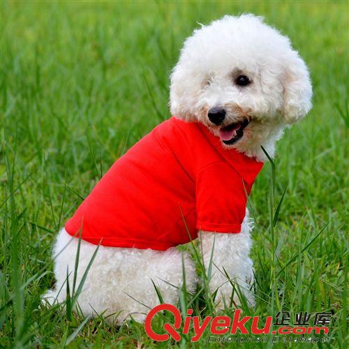 狗狗衣服春夏裝 寵物POLO襯衫 寵物襯衣 泰迪寵物犬衣服 現(xiàn)貨供應(yīng)原始圖片3