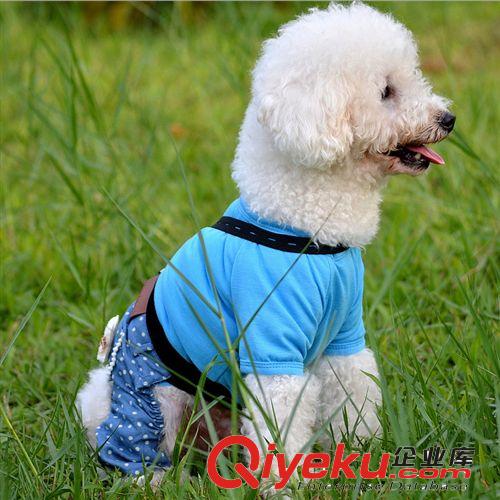 新款寵物服裝 狗狗衣服 天藍色牛仔背帶褲子 寵物衣服批發原始圖片2