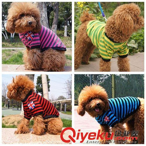 現貨狗狗衣服 春夏裝秋裝POLO衫 狗 寵物衣服廠家 polo衫廠家直銷
