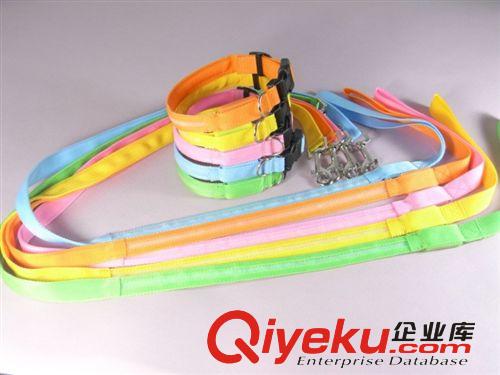2.0cm寬度絲網項圈牽引帶套裝 一個規格28-40cm 可伸縮廠家直銷原始圖片2