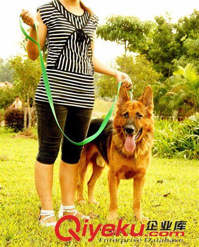 豪華寵物牽引繩 狗拉帶狗圈 中大型犬狗繩廠家批發直供原始圖片2