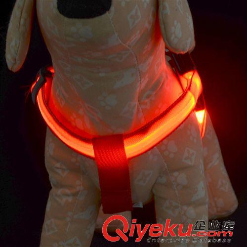廠家直銷 寵物L(fēng)ED發(fā)光狗胸背帶 發(fā)光牽引繩閃光背帶胸背原始圖片2