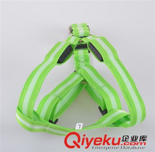 廠家直銷 條紋寵物LED發光狗胸背帶 發光牽引繩閃光背帶胸背原始圖片2