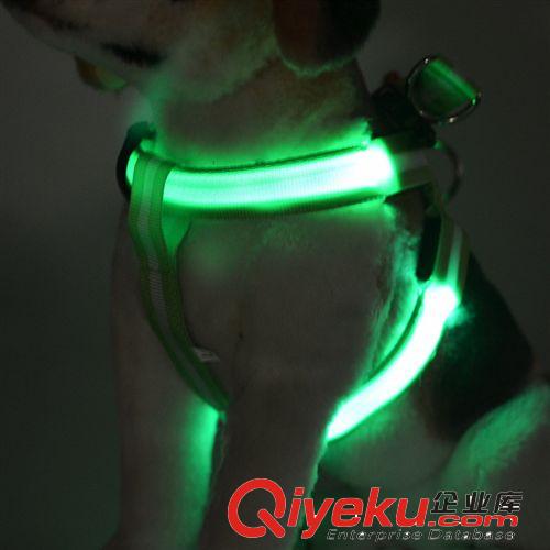 廠家直銷 條紋寵物LED發光狗胸背帶 發光牽引繩閃光背帶胸背原始圖片3