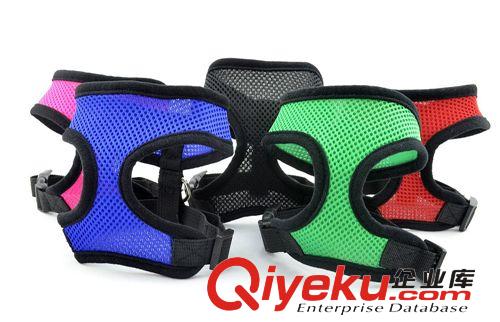 新款寵物胸背帶批發 網眼布胸背帶 寵物胸背帶原始圖片2