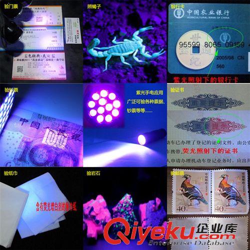 12LED紫光手電筒 12紫光手電筒 12UV手電筒 紫外線驗鈔熒光燈原始圖片3