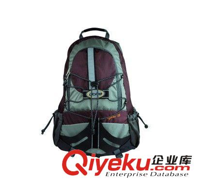 樂炫自行車包貨架包后馱包騎行裝備尾包后貨架包14541