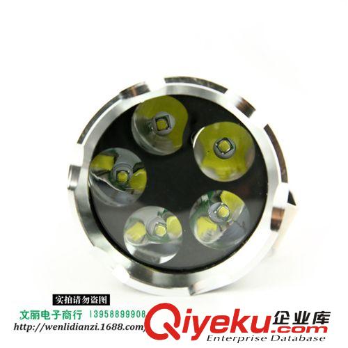 實(shí)用手提燈 戶外野營(yíng)垂釣適用照明燈 手提強(qiáng)光探照燈原始圖片2