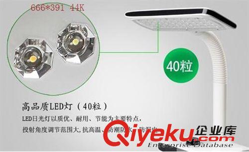 久量可調(diào)光LED663護(hù)眼臺(tái)燈 充電臺(tái)燈 學(xué)習(xí)閱讀看書(shū)臺(tái)燈