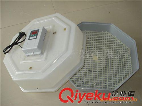 JN5-60小型孵化機，孵蛋器，高精度溫控小型孵化器原始圖片2