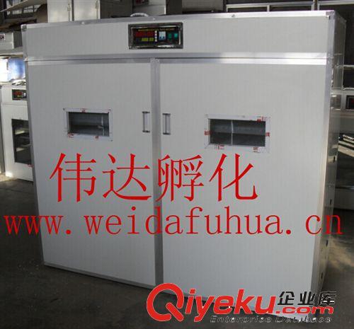 供應(yīng)優(yōu)質(zhì)的偉達(dá)孵化機(jī)