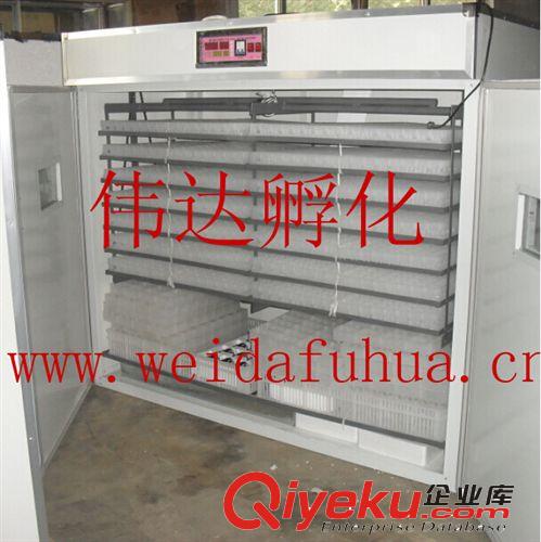 供應(yīng)優(yōu)質(zhì)的偉達(dá)孵化機(jī)