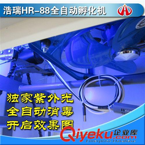 浩瑞88枚全自動家用小型孵化機 孵化器 土雞鴿子孵蛋機器 包郵原始圖片2