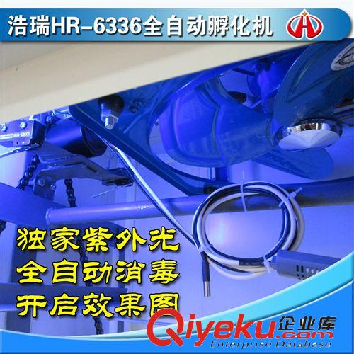 大型孵化機全自動 浩瑞6336枚雞蛋鴿子全自動孵化器雙溫雙控包郵原始圖片3