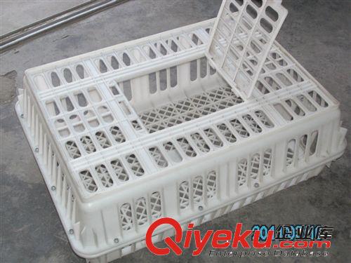 常年加工銷售塑料運(yùn)輸兔子籠 雞籠 鴨子籠等一系列塑料產(chǎn)品原始圖片2
