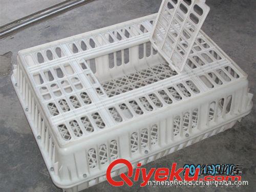 常年加工銷售塑料運(yùn)輸兔子籠 雞籠 鴨子籠等一系列塑料產(chǎn)品