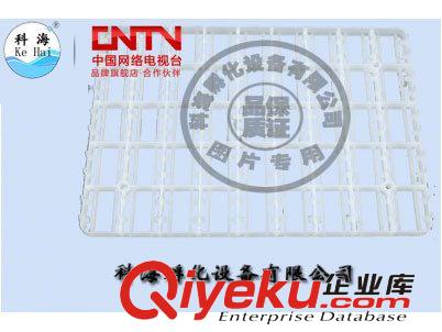 家庭式孵化機 小型孵化機 300枚雞蛋容量孵化機 科海孵化機原始圖片3