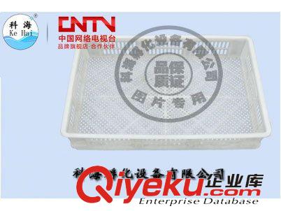 供應(yīng)德州孵化機(jī)/科海孵化機(jī)/孵化小雞的孵化機(jī)廠家直銷原始圖片2
