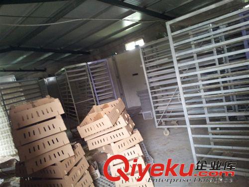 供應(yīng)優(yōu)質(zhì)朗德鵝鵝苗，朗德鵝苗價格，朗德鵝苗行情，朗德鵝苗批發(fā)原始圖片2