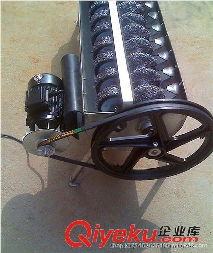 廠家批發供應小型毛刷洗蛋機