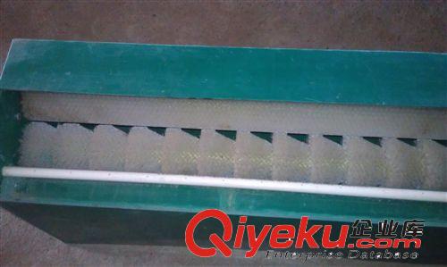 經(jīng)濟(jì)實(shí)用型毛刷洗蛋機(jī)